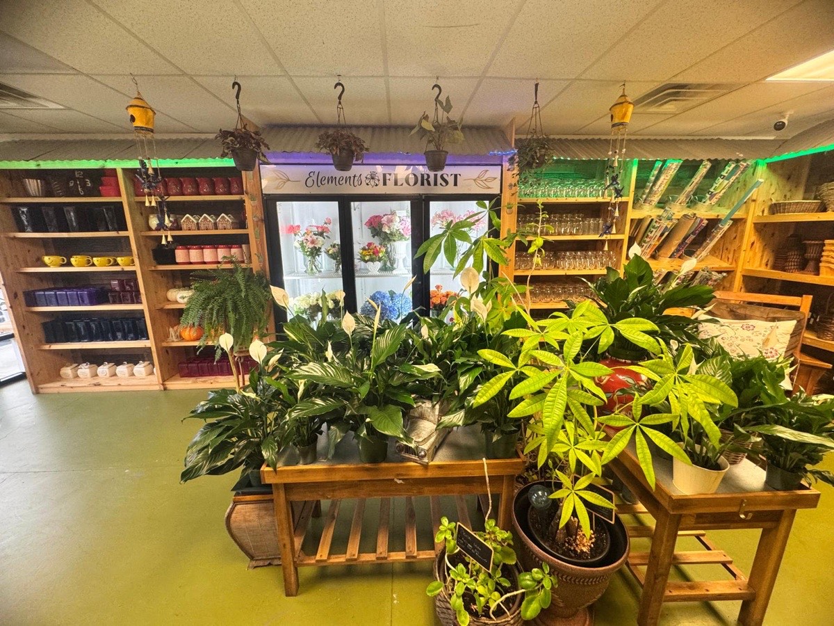 Interior de Elements Florist en Cornelius